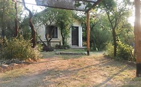 Aire del Cerro
